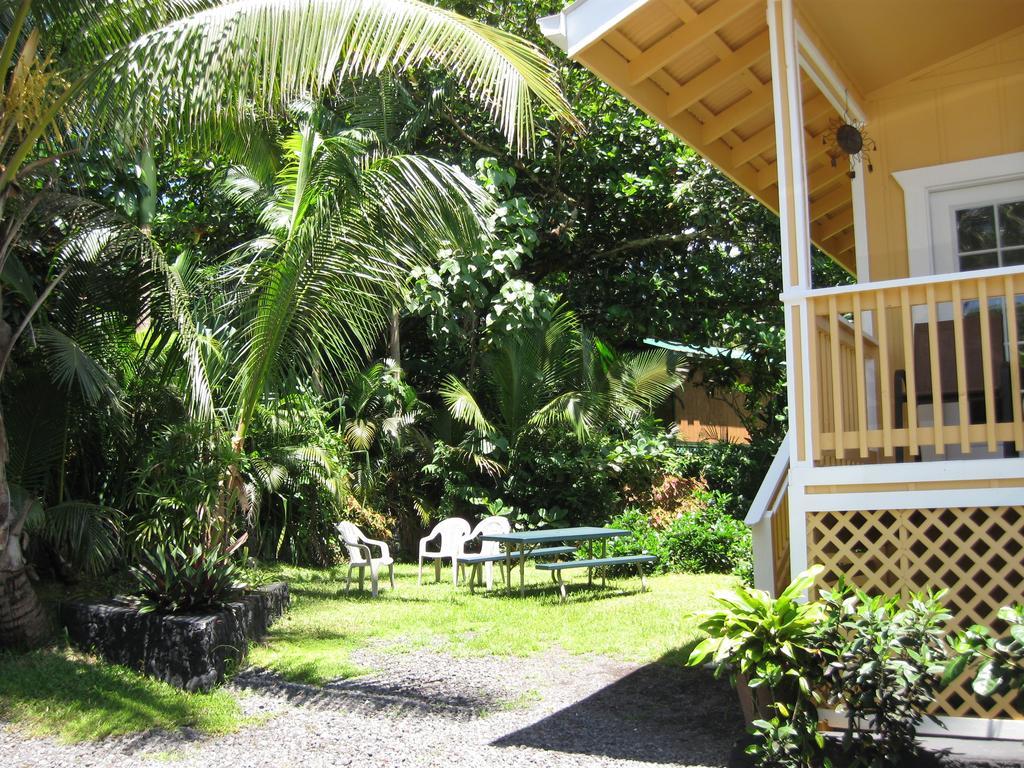 Oceanfront Cottage Near The Kalapana Lava Flows Kehena Rom bilde