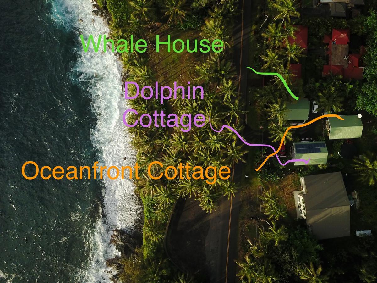 Oceanfront Cottage Near The Kalapana Lava Flows Kehena Eksteriør bilde
